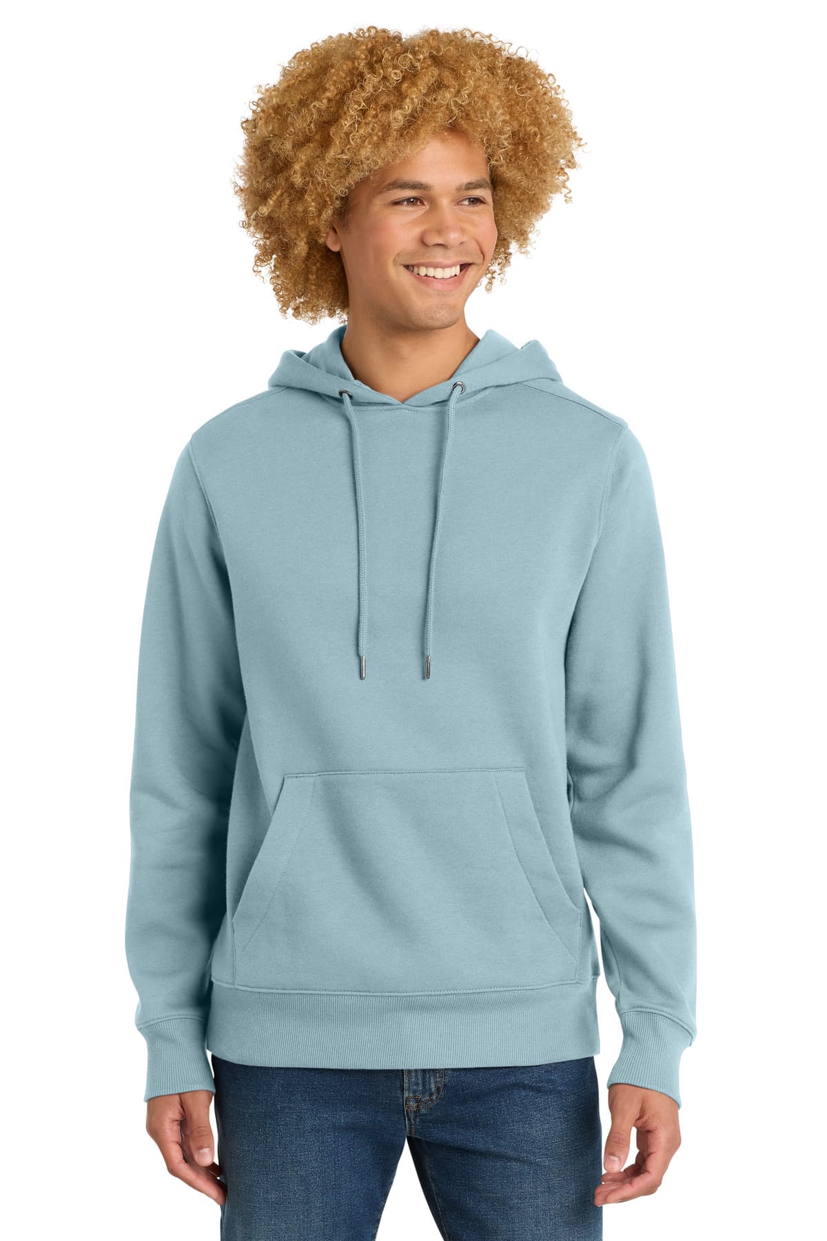District District  Perfect Weight  Fleece Hoodie DT1101