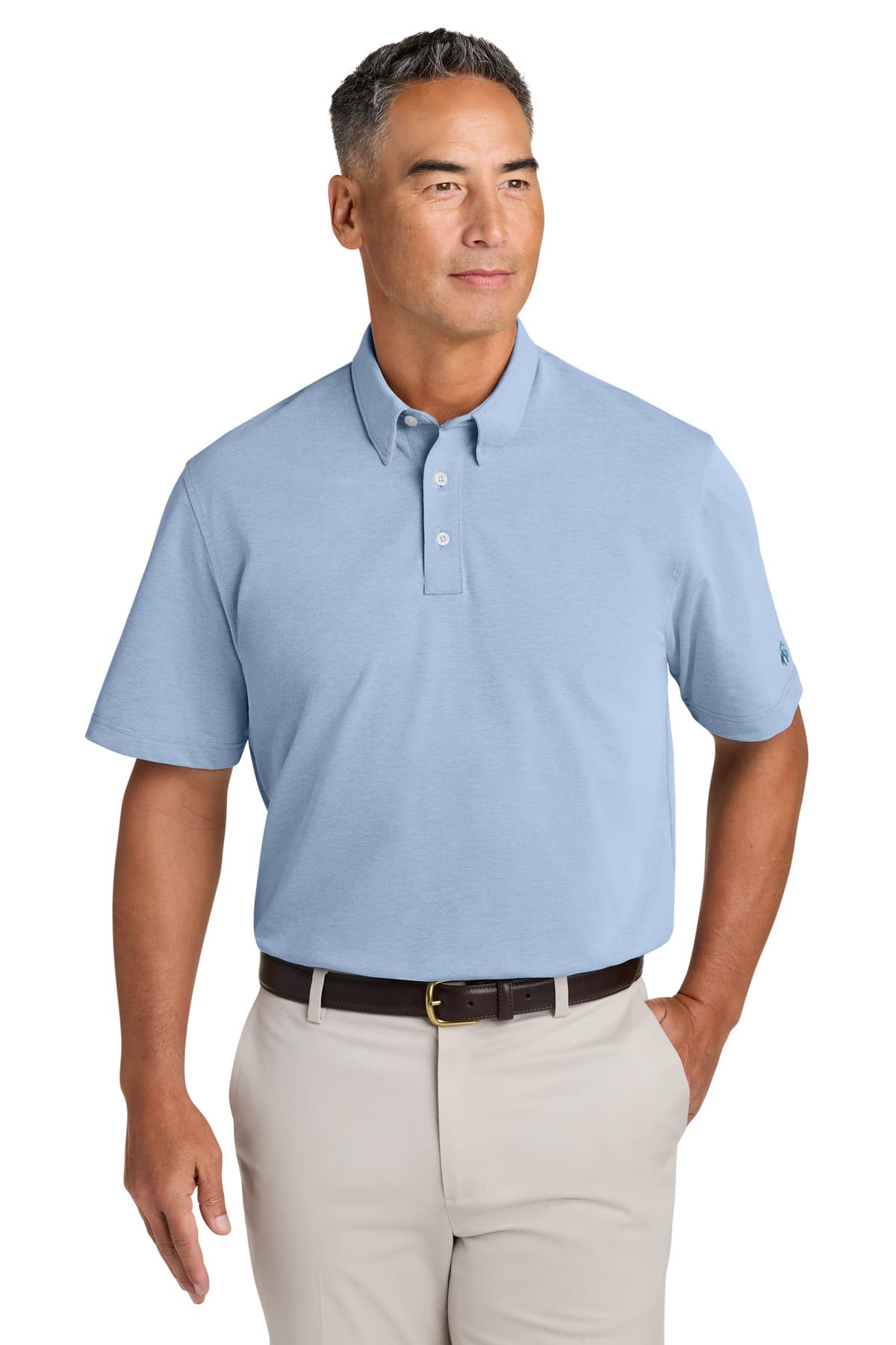 Brooks Brothers Brooks Brothers Pinpoint Pique Dress Polo BB18222
